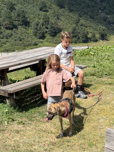 Two children and a brindle dog are enjoying a sunny day outdoors, with one child gently petting the dog as it licks its nose